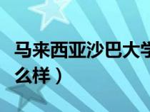 马来西亚沙巴大学读博（马来西亚沙巴大学怎么样）