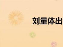 刘量体出狱片段（刘量体）