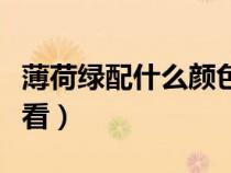 薄荷绿配什么颜色上衣（薄荷绿配什么颜色好看）