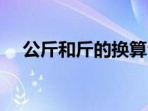 公斤和斤的换算公式（公斤和斤的换算）