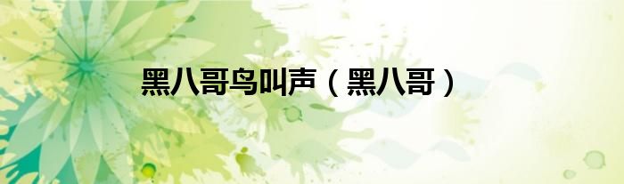 黑八哥鸟叫声（黑八哥）