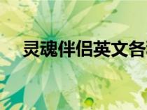 灵魂伴侣英文各种写法（灵魂伴侣英文）