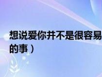 想说爱你并不是很容易的事王志文（想说爱你并不是很容易的事）