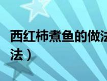 西红柿煮鱼的做法大全家常（西红柿煮鱼的做法）