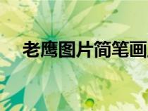 老鹰图片简笔画正面（老鹰图片简笔画）