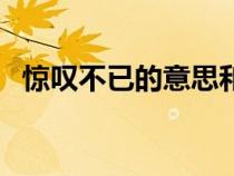 惊叹不已的意思和造句（惊叹不已的意思）