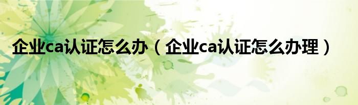 企业ca认证怎么办（企业ca认证怎么办理）