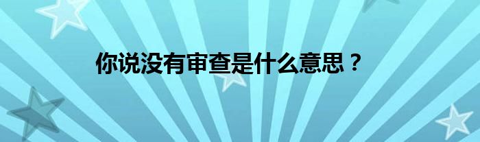 你说没有审查是什么意思？