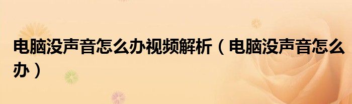 电脑没声音怎么办视频解析（电脑没声音怎么办）