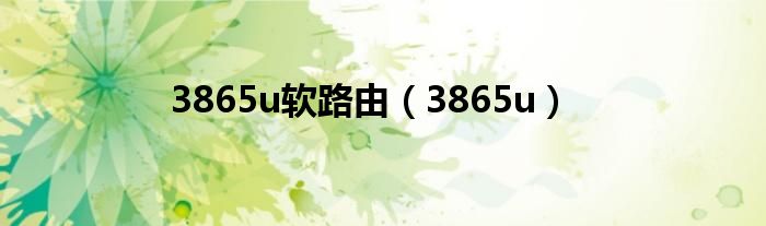 3865u软路由（3865u）