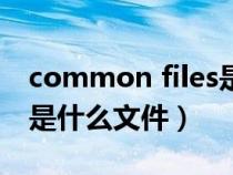 common files是什么意思（common files是什么文件）