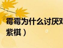 霉霉为什么讨厌邓紫棋呢（霉霉为什么讨厌邓紫棋）