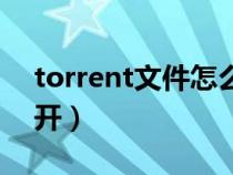 torrent文件怎么制作（torrent文件怎么打开）