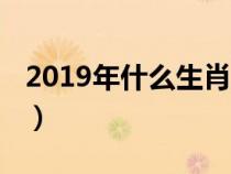 2019年什么生肖应该躲春(2019年什么生肖) 2019年什么生肖应该躲春(2019年什么生肖)