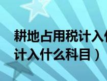 耕地占用税计入什么科目2021（耕地占用税计入什么科目）