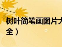 树叶简笔画图片大全手绘（树叶简笔画图片大全）