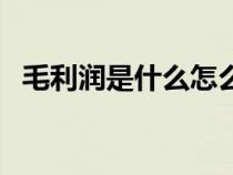 毛利润是什么怎么算（毛利润是什么意思）