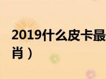 2019什么皮卡最省油最便宜（2019什么年生肖）