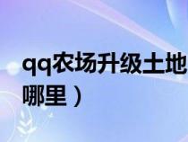 qq农场升级土地的标志(qq农场升级土地在哪里) qq农场升级土地的标志(qq农场升级土地在哪里)
