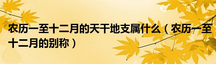 夏历一至十仲春的天干地支属甚么（夏历一至十仲春的别称）