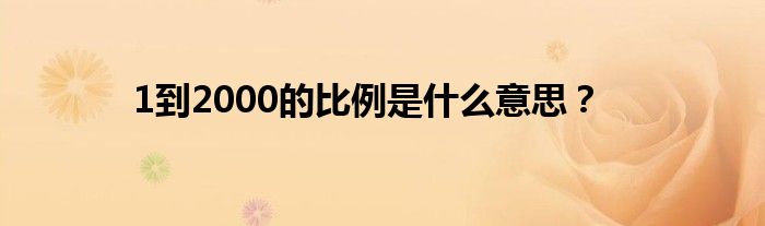 1到2000的比例是什么意思？