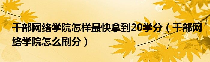 干部网络学院怎样最快拿到20学分（干部网络学院怎么刷分）