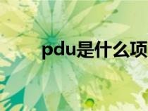 pdu是什么项目管理（pdu是什么）