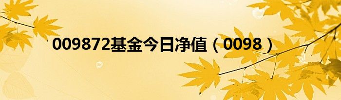 009872基金今日净值（0098）