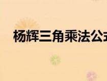 杨辉三角乘法公式视频（杨辉三角c语言）