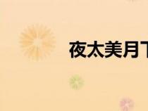 夜太美月下醉666（夜太美）