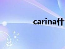 carina什么意思（carina）