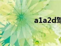 a1a2d驾驶证（a1图框）
