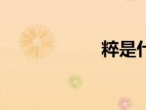 粹是什么意思（粹）