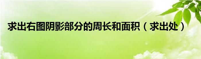 求出右图阴影部分的周长和面积（求出处）