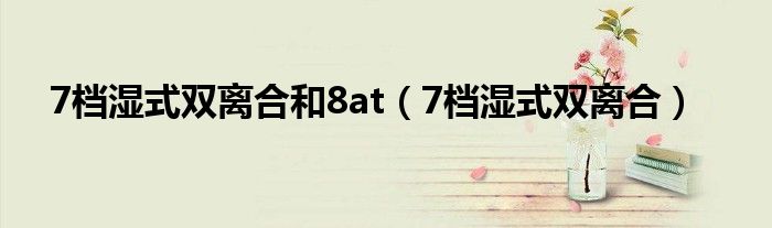 7档湿式双离合和8at（7档湿式双离合）