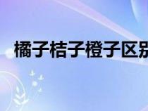 橘子桔子橙子区别图片（橘子桔子的区别）