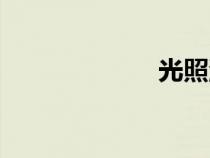 光照派（光照派）