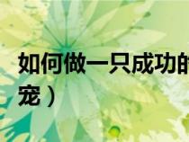 如何做一只成功的魔宠（如何做一只成功的魔宠）
