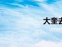 大奎去旅行（大奎）