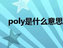 poly是什么意思网络（poly是什么意思）