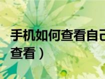 手机如何查看自己的号码（自己手机的ip怎么查看）