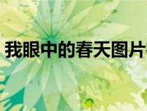 我眼中的春天图片征集（我眼中的春天图片）