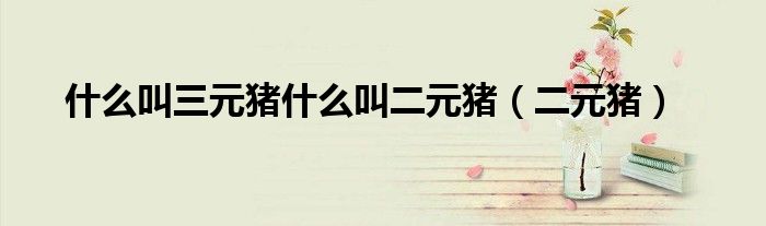 什么叫三元猪什么叫二元猪（二元猪）