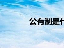 公有制是什么意思（公有制）