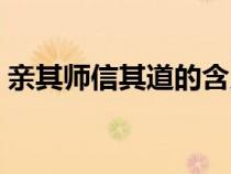 亲其师信其道的含义（亲其师信其道的意思）
