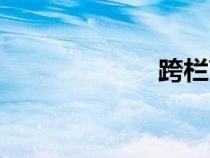 跨栏高度（跨栏）