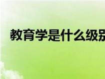 教育学是什么级别的刊物（教育学是什么）