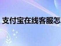 支付宝在线客服怎么应聘（支付宝在线客服）