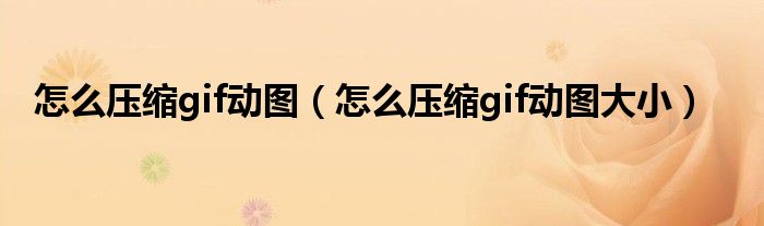 怎么压缩gif动图（怎么压缩gif动图大小）