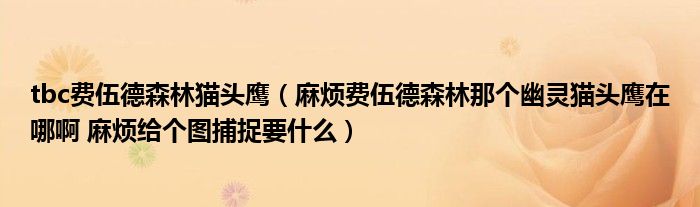 tbc费伍德森林猫头鹰（麻烦费伍德森林那个幽灵猫头鹰在哪啊 麻烦给个图捕捉要什么）